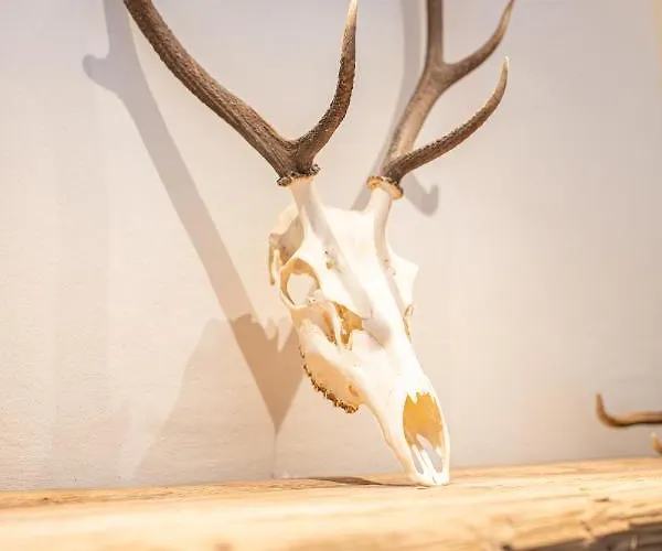 Apartamento Alpensinfonie *